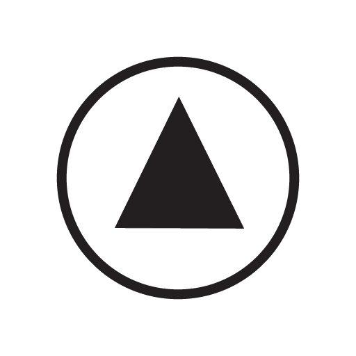 P6 Intelligence